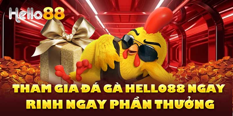 Tham gia đá gà Hello88 ngay rinh ngay phần thưởng